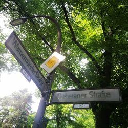 Low angle view of road sign against trees