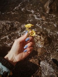 Cropped hand of woman holding water