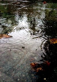 High angle view of a lake