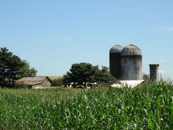 Barn on field against sky