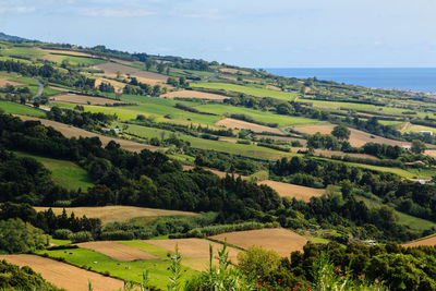 Scenic view of agricultural landscape against sky