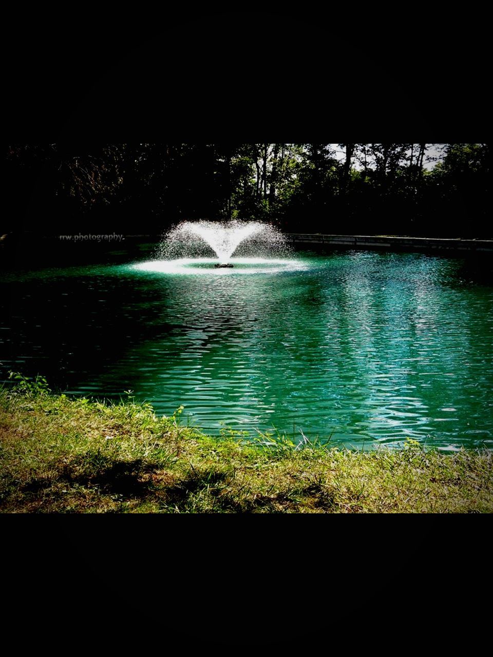 water, tree, tranquility, lake, river, nature, tranquil scene, scenics, beauty in nature, reflection, forest, rippled, growth, branch, bare tree, outdoors, no people, stream, waterfront, day