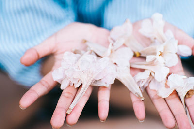 Close-up of hands holding flowers