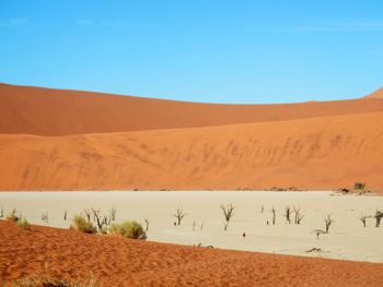 Scenic view of desert against blue sky