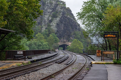 Railroad tracks amidst trees and plants