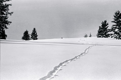 Scenic view of snow covered field against sky