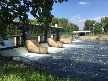 Scenic view of grass and trees against sky