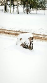 View of snow covered landscape