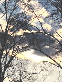 Low angle view of bare trees against sky at sunset