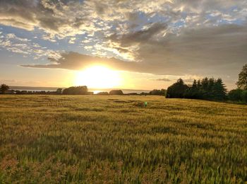 Scenic view of field against sky at sunset