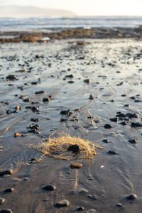 Surface level of sea shore