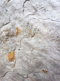 Full frame shot of stone wall