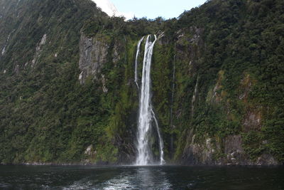 Scenic view of waterfall in forest