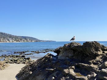 Scenic view of sea against clear blue sky