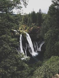 Scenic view of waterfall in forest against sky