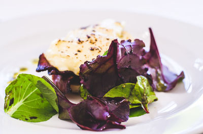 Close-up of served food in plate