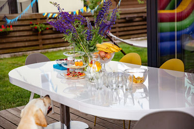 Potted plants on table outside the house