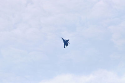 Low angle view of bird flying