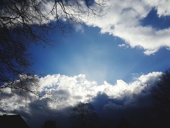 Low angle view of silhouette trees against sky