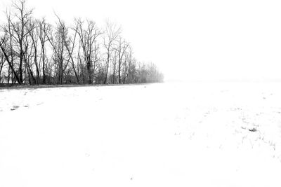 Bare trees on snow field against clear sky