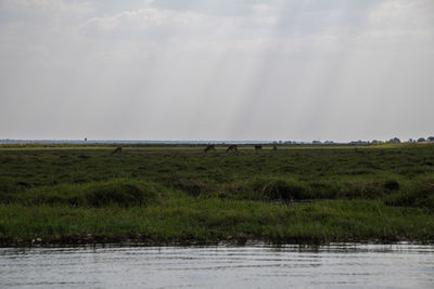 Scenic view of land against sky