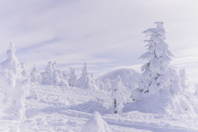 Snow covered landscape against sky