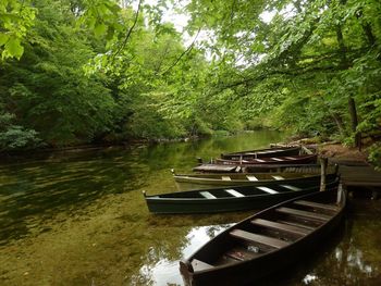 Boats on river by trees at forest