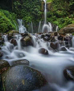 Scenic view of waterfall in forest