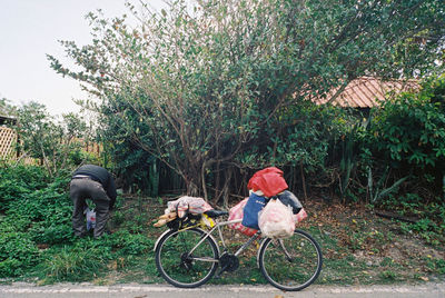 Parked cars on road