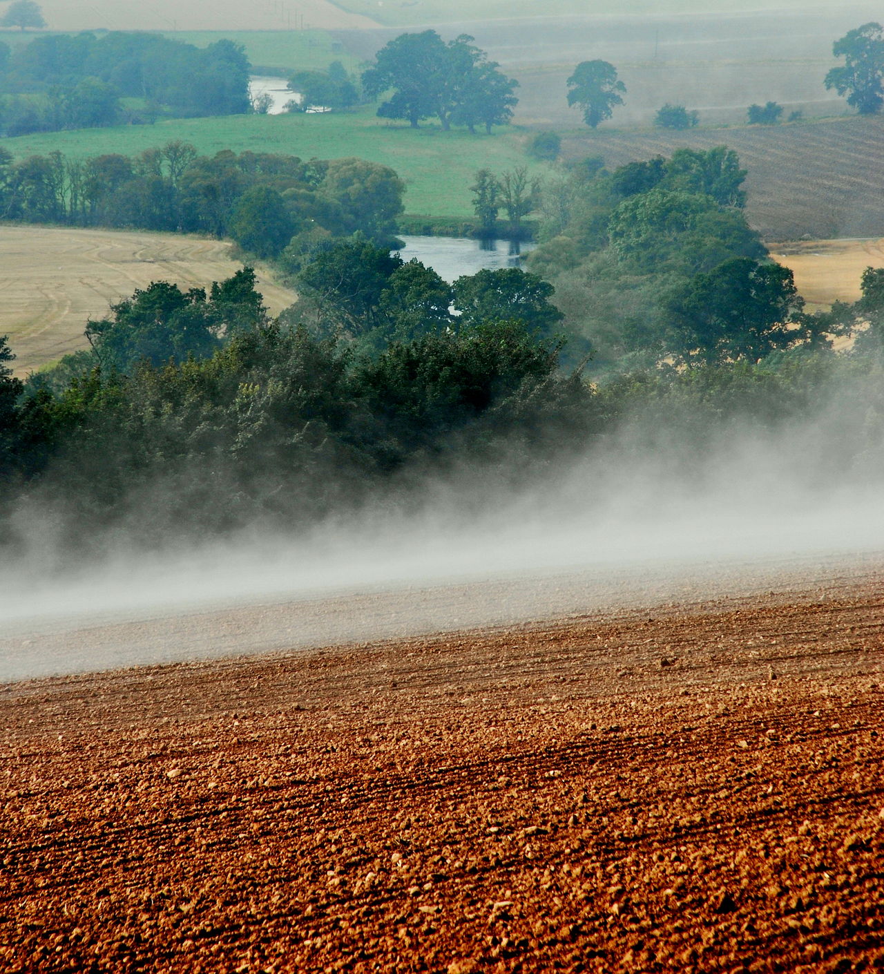 Mist on field