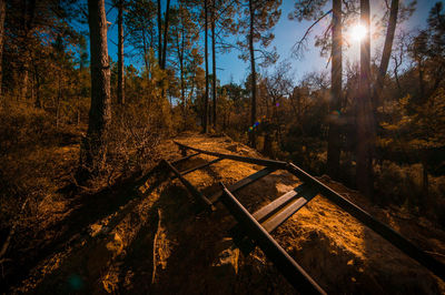 Railroad track's breaking by the nature