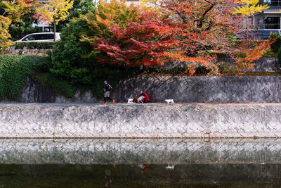 People in park during autumn