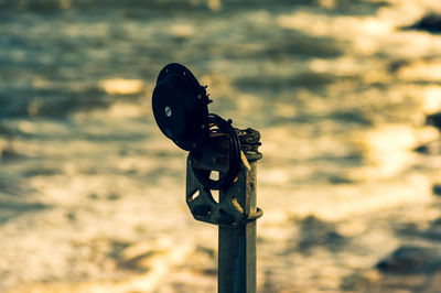Close-up of wooden post on pole