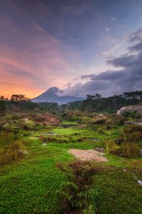 View of merapi volcano in the morning