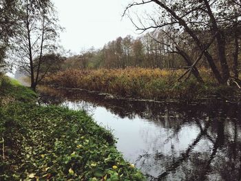 Scenic view of lake in forest against sky