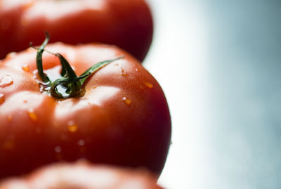 Close-up of wet tomatoes