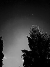 Low angle view of silhouette trees against sky at night