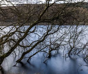 Bare tree by lake against sky during winter