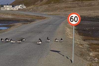 Road sign in a city