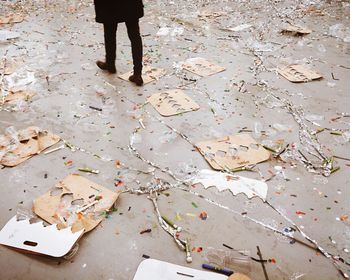 Low section of people standing on ground