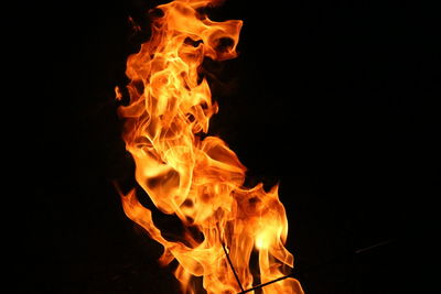 Close-up of bonfire against black background