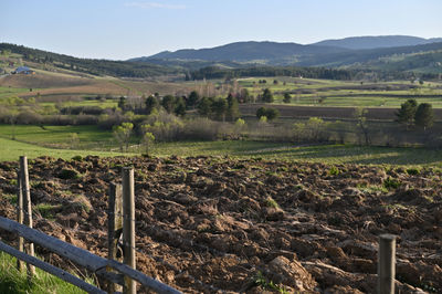 Scenic view of vineyard against sky
