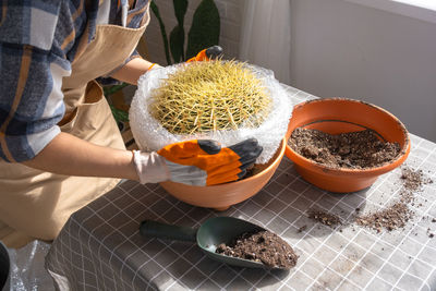 Midsection of woman holding potted plant