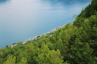 High angle view of sea and trees