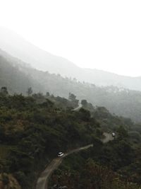 High angle view of trees in foggy weather