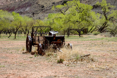 Tractor in farm against trees