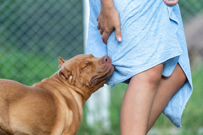 Midsection of woman holding dog