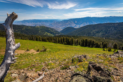 Scenic view of landscape and mountains against sky