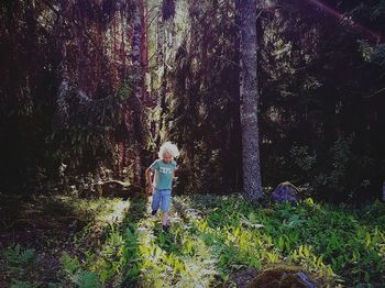 Boy standing by tree in forest