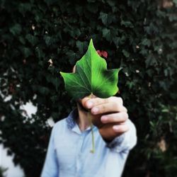 Close-up of human hand holding leaf in park